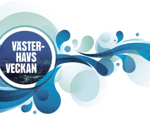 Utveckling av Västerhavsveckan